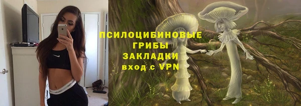 молекула духа Алзамай