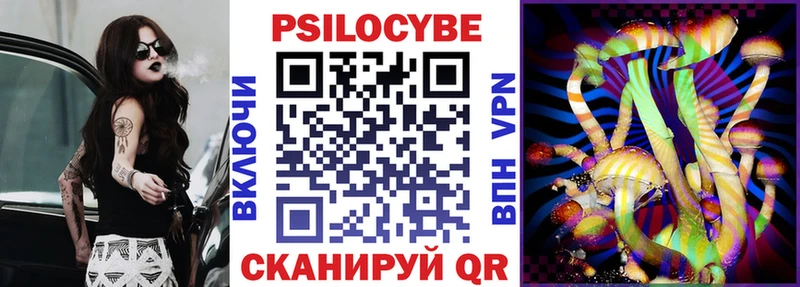 Псилоцибиновые грибы Psilocybe  Нерехта 